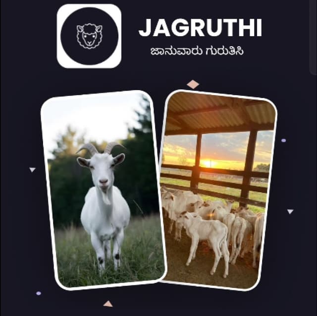 Livestock Image Classification App project preview